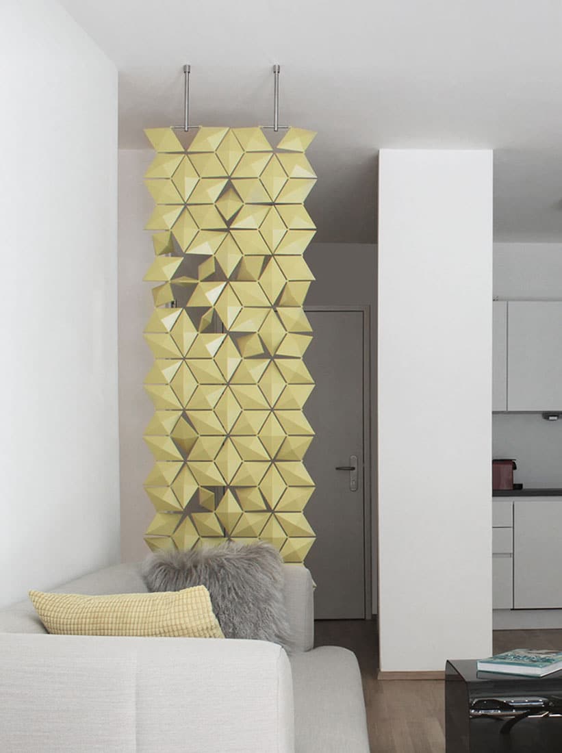 Small Room Divider Screen At The Apartment Entrance Ideas