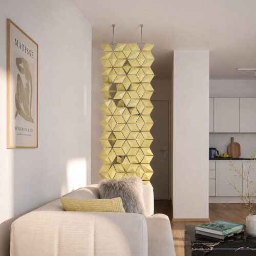 Small room divider screen defining a compact apartment entrance in Vienna